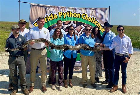 florida python challenge 2024|python removal program in florida.